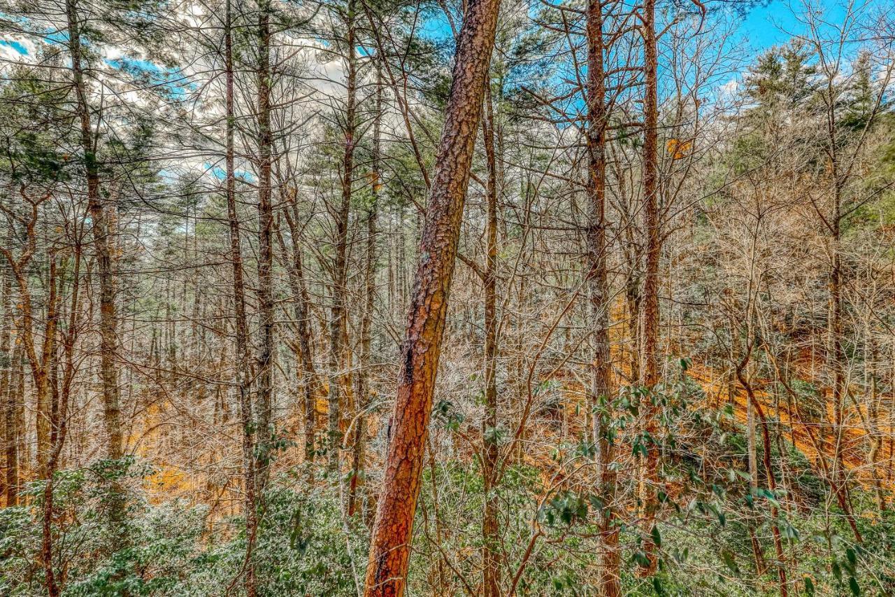 Etowah Villa Blue Ridge Luaran gambar